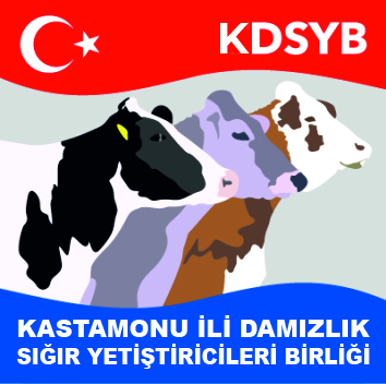 Kastamonu İli Damızlık Sığır Yetiştiricileri Birliği